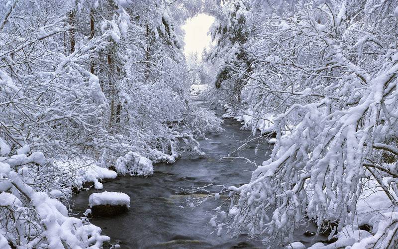 瑞典冬日白茫茫的雪景壁纸