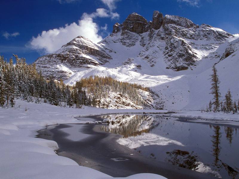 在白雪覆盖下的高山雪景图片