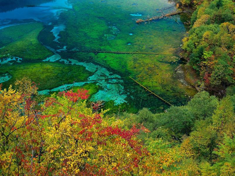 美丽的梯田风景精美壁纸