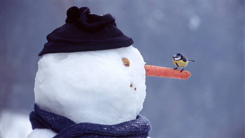 唯美高清冬季可爱雪人风景图片