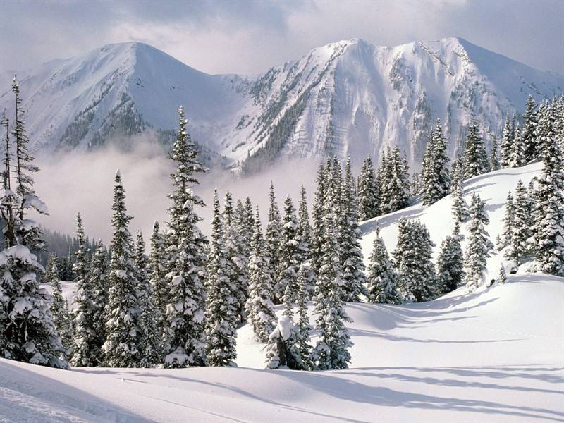 冬季高山雪景白色唯美景观