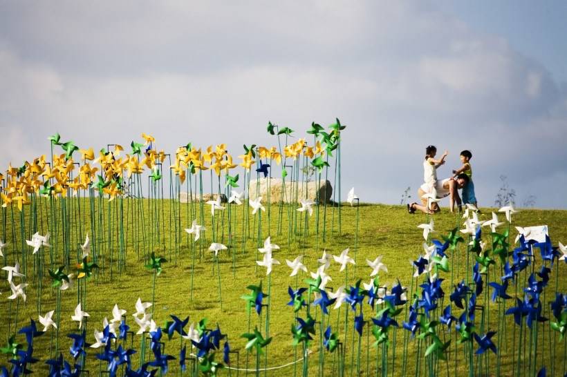 高清风车丛玩耍图片