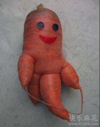 搞怪蔬菜图片之有喜感的萝卜娃娃