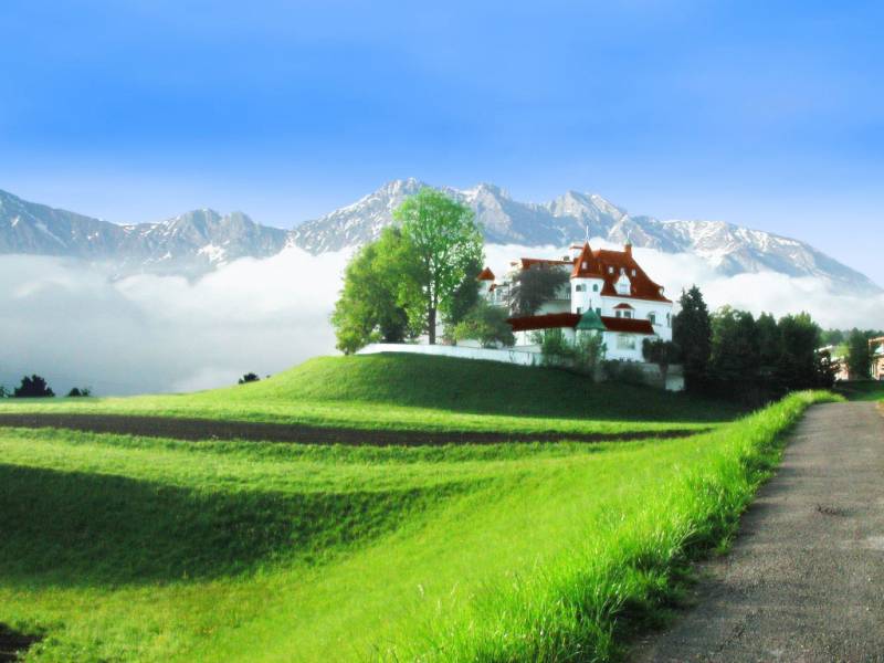 美丽春天生机勃勃组图