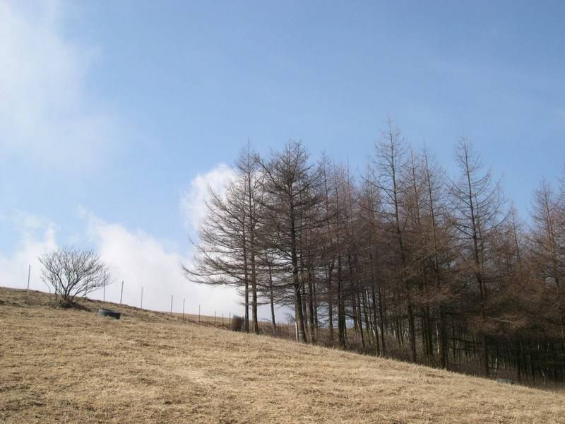 迷人的乡村田野高清风景壁纸