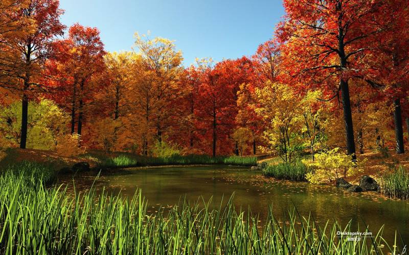 秋天潺潺流水的河流图片