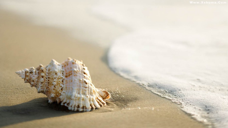 海边沙滩风景图片意境唯美