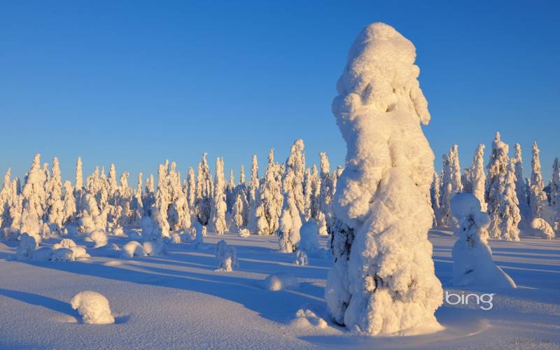 冬季万里雪飘唯美高清壁纸