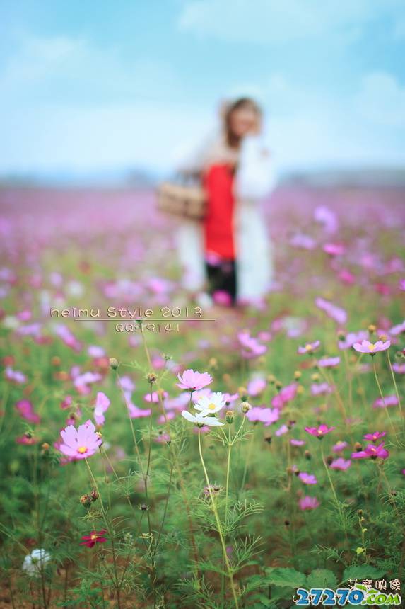 唯美户外高清花海美女摄影