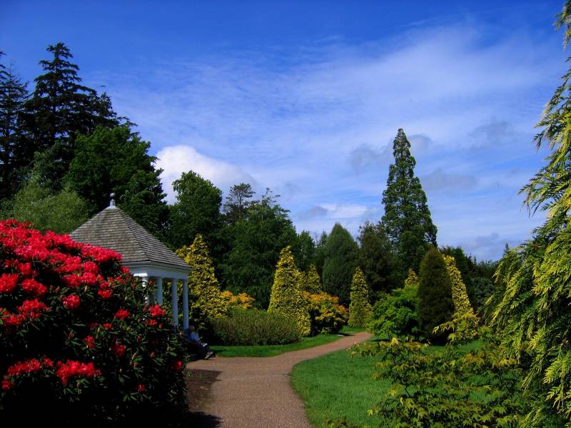 英格兰小镇城市花园青翠风景