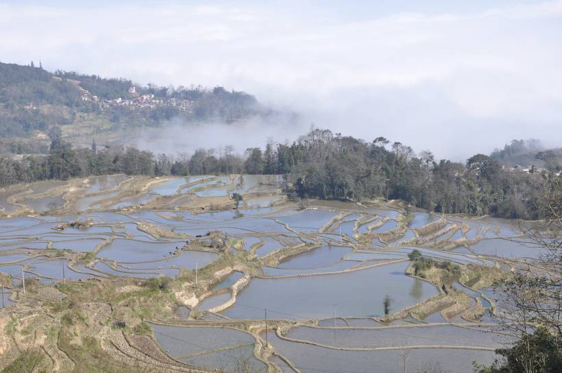 云南元阳梯田风景实拍图片