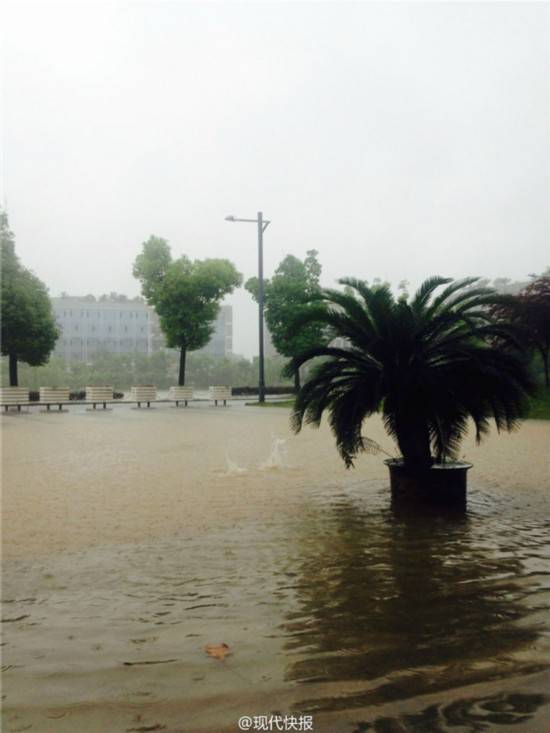 南京城遭暴雨袭击多处可"看海"