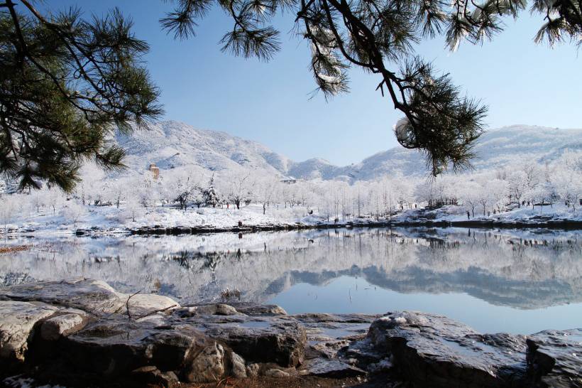 北京植物园雪景唯美摄影