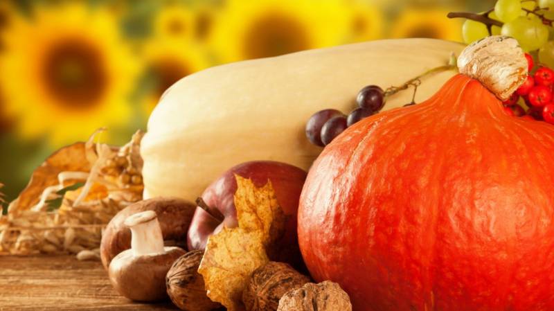 初秋时分丰收的蔬菜水果高清图片欣赏