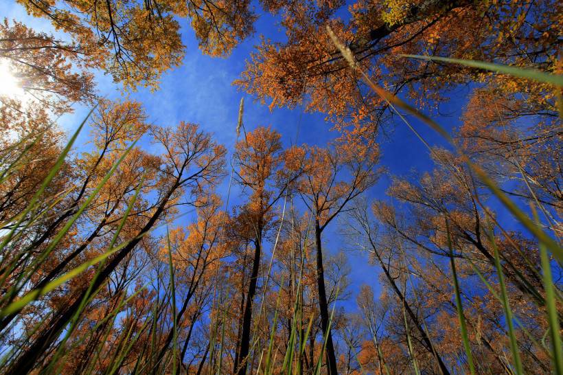 秋天大自然风景图片唯美意境壁纸