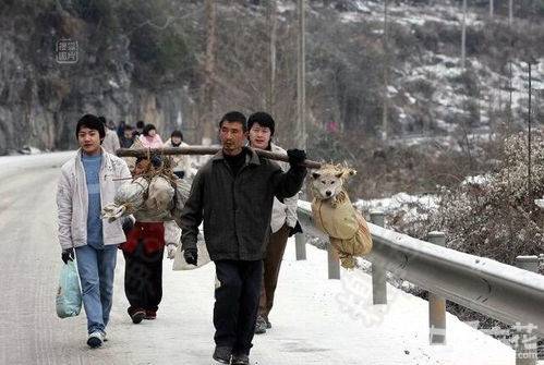 史上最搞笑的真人版图片