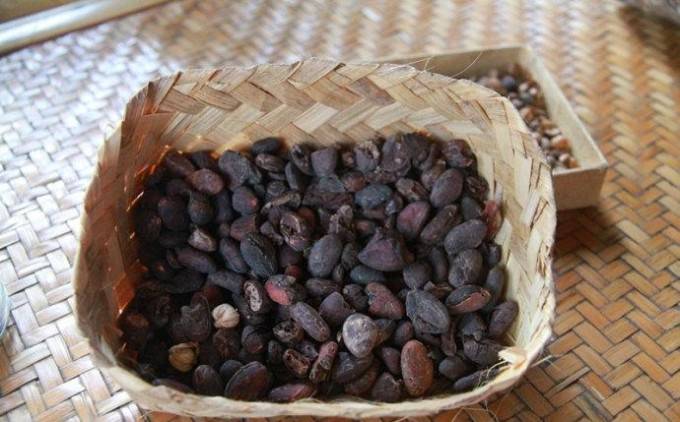 史上最贵的麝香猫咖啡