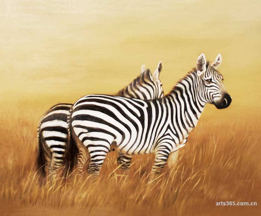 非洲草原动物条纹斑马壁纸