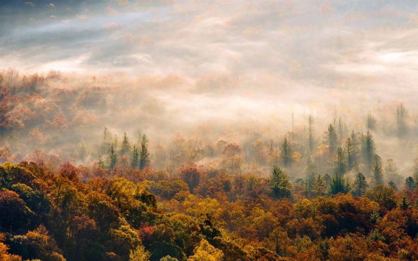 秋天树叶风景图片唯美摄影素材分享