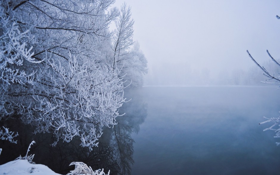 冬天森林雪景风景图片壁纸