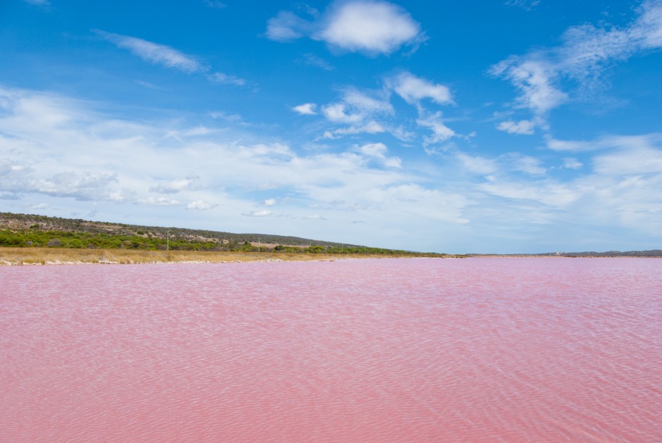 唯美梦幻的粉红色湖泊高清图片