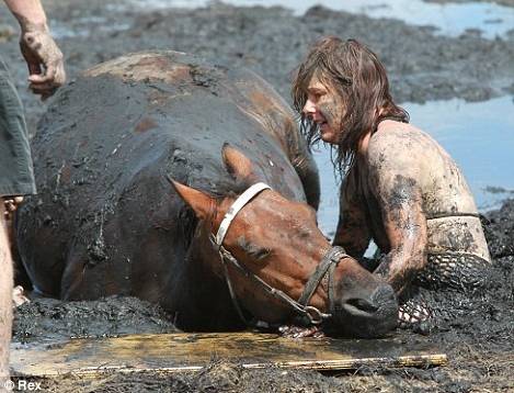 爱马深陷泥浆面临溺亡 主人陪伴安慰3小时