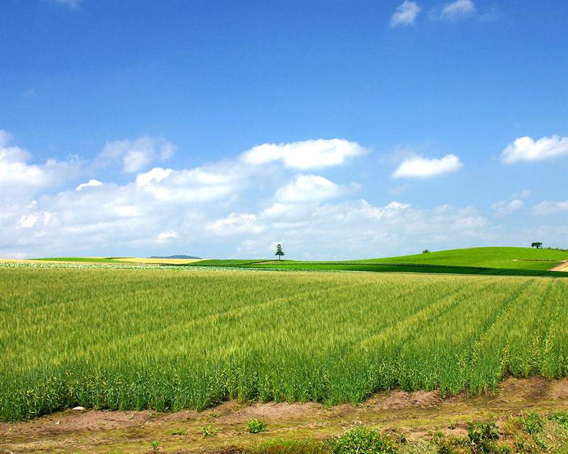 蓝天白云晴空万里唯美风景