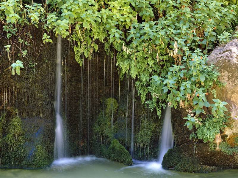 生机勃勃的自然风光美景