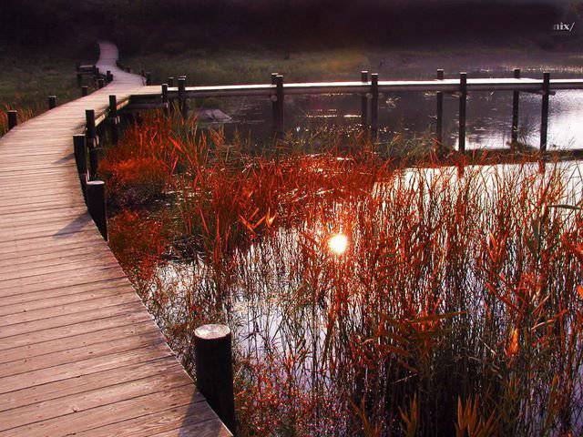 日本风光与花卉