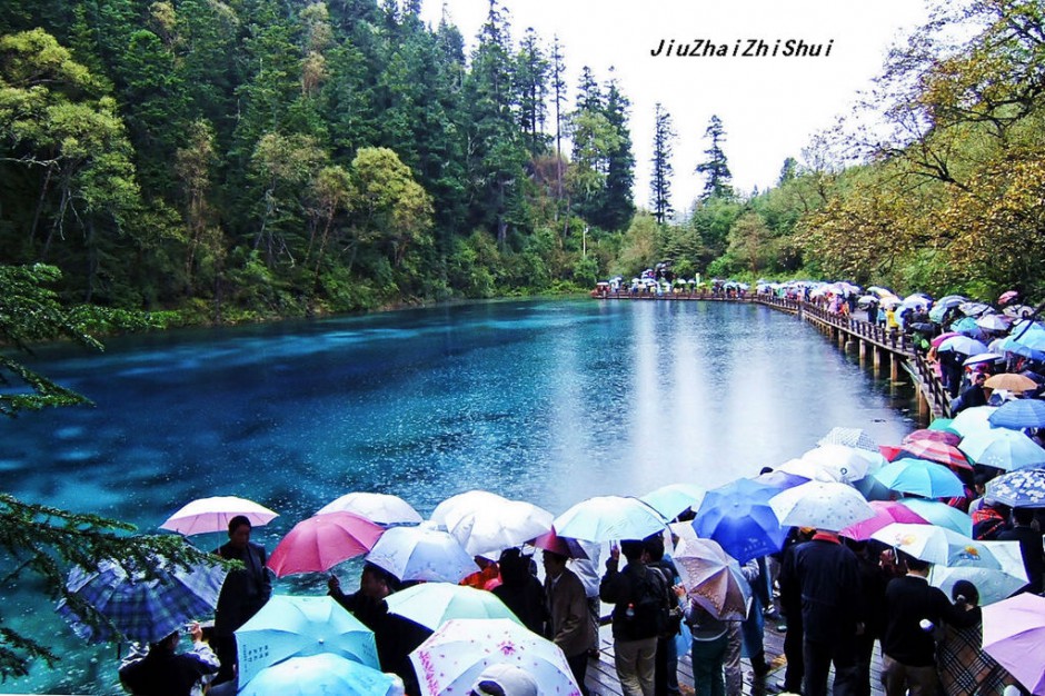 梦幻九寨沟水中森林
