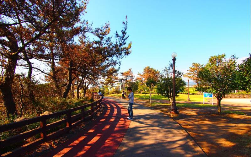 韩国济州岛自然风光图片