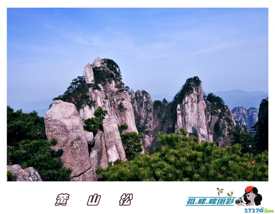 高清黄山松唯美风景摄影