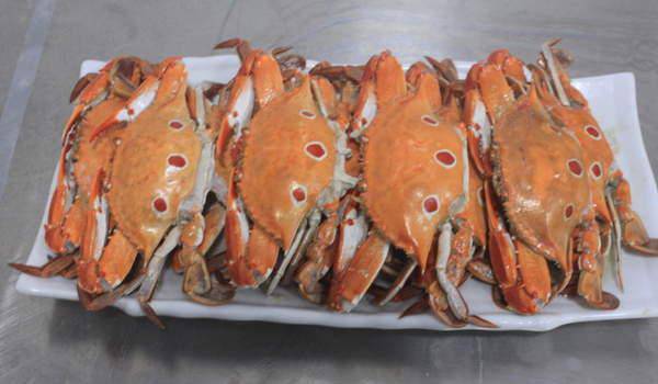 豪华海鲜大餐图片美味十足