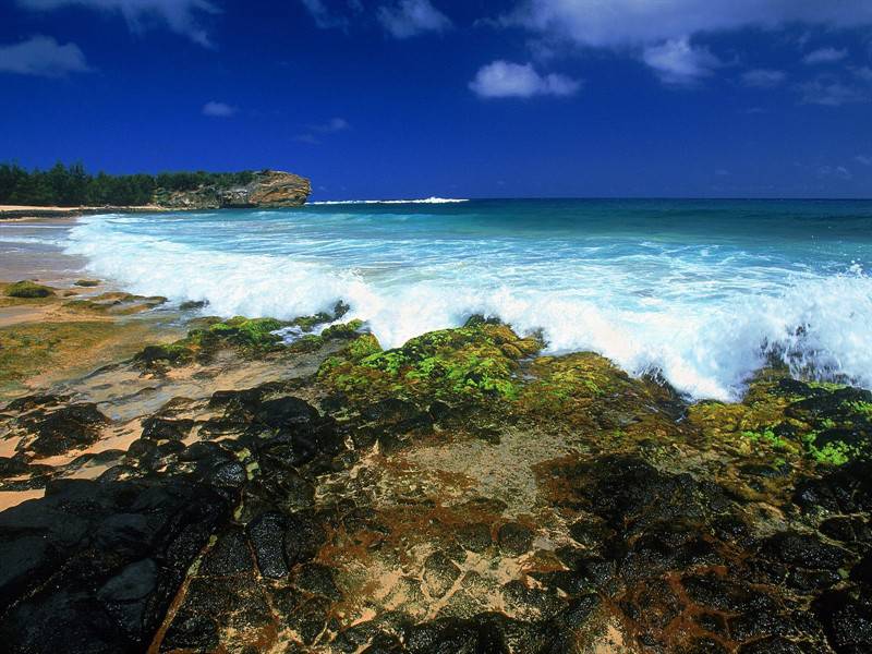 夏威夷海滨蓝绿相接唯美风景