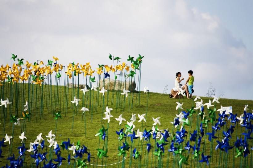 高清风车丛玩耍图片