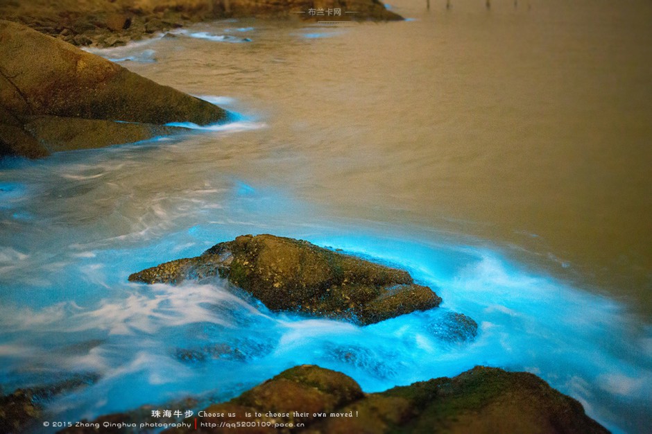 珠海荧光赤潮美景