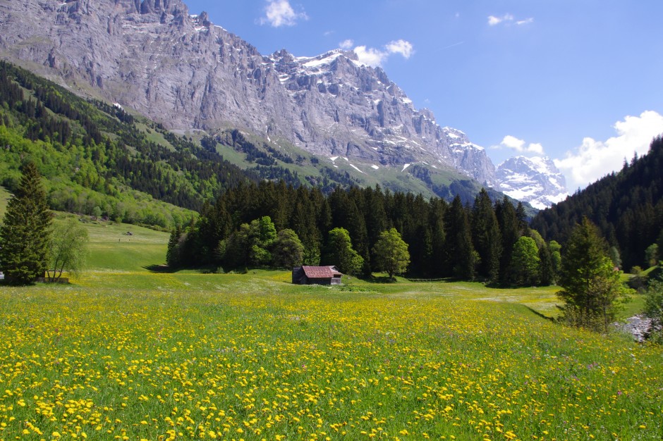阿尔卑斯山风景高清摄影壁纸