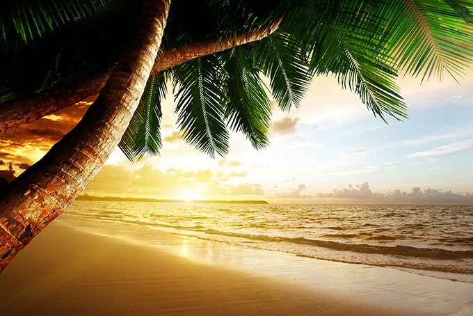夏天海边椰树风景高清图片