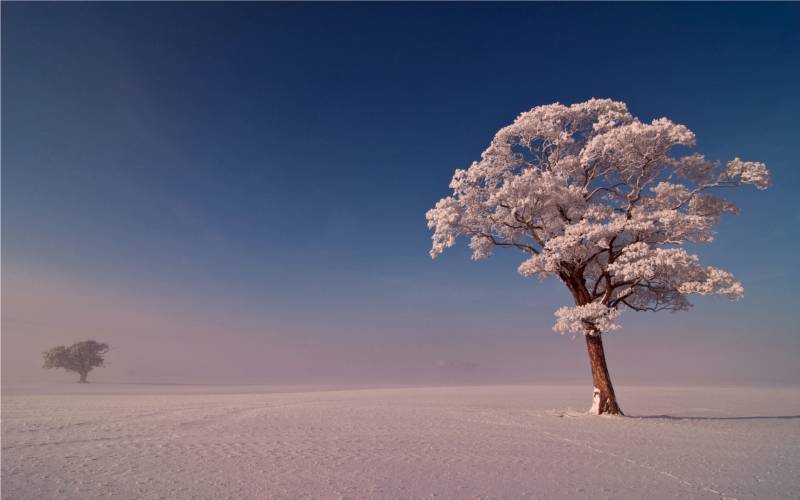 迷人大自然雪景风光壁纸