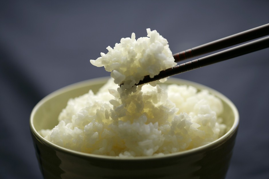 创意米饭图片造型百变