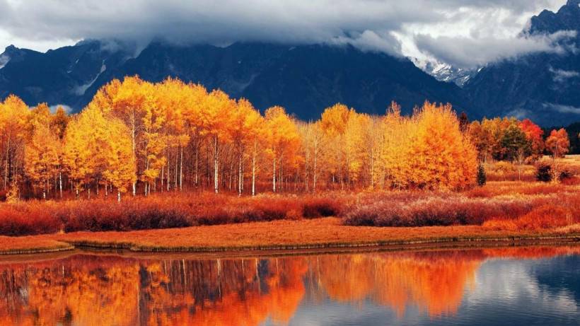 秋天惬意唯美风景图片