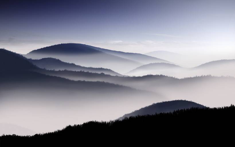 雾中美丽温柔风景图片欣赏