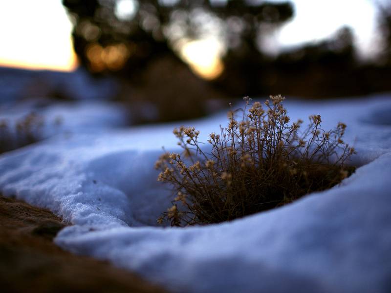 迷人的自然雪景精美壁纸欣赏