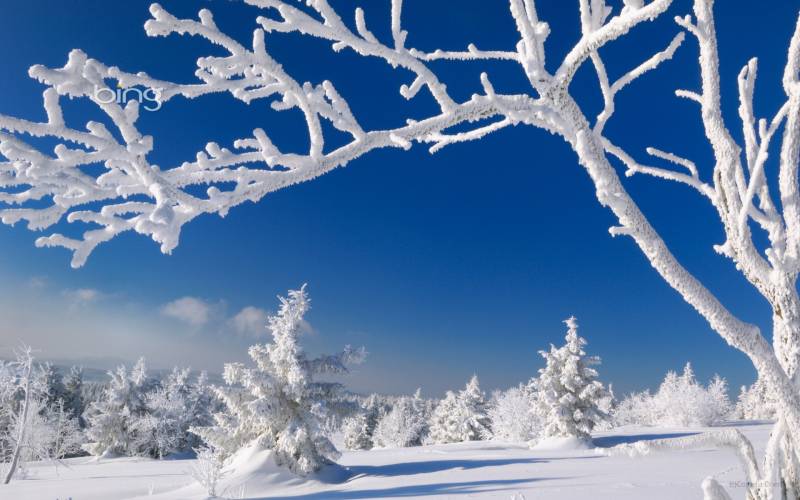 迷情冬季雪景精美壁纸赏析