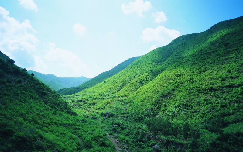 夏日辽阔绿色草原高清桌面壁纸