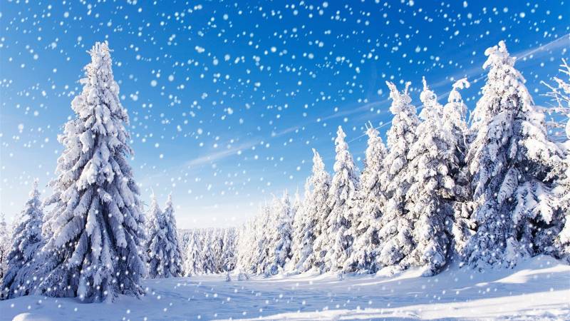 冬天唯美雪景高清雪景壁纸