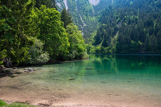 绿色森林优美湖泊风景图片