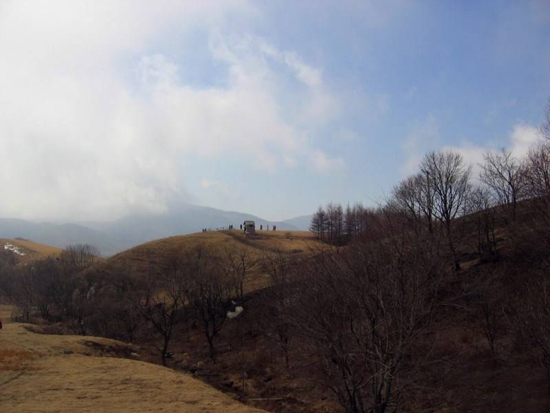 迷人的乡村田野高清风景壁纸