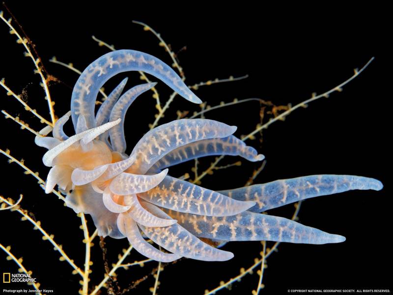 与大自然和平相处的动物高清图片