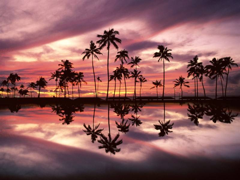 海滨沙滩椰林晚霞美景图片